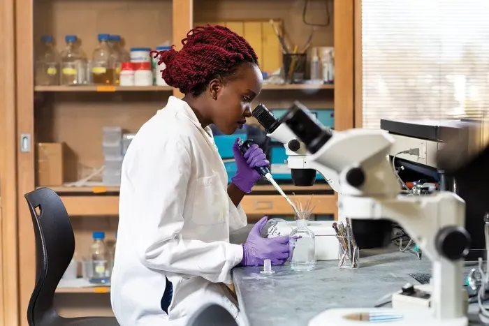 A student looking through a microscope in the lab.